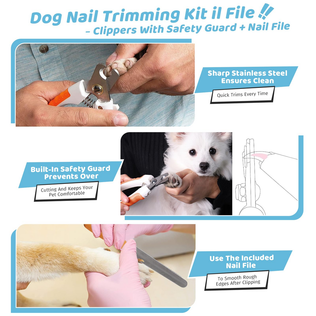 Pet Steam Brush for Dog & Cat – 3-in-1 Spray Hair Removal Comb for Shedding & Grooming Shedding Glove, Flea Comb, Couch Carpet Hair Removal Tool, Nail Toenail Clippers Nail File Shampoo-8PCS